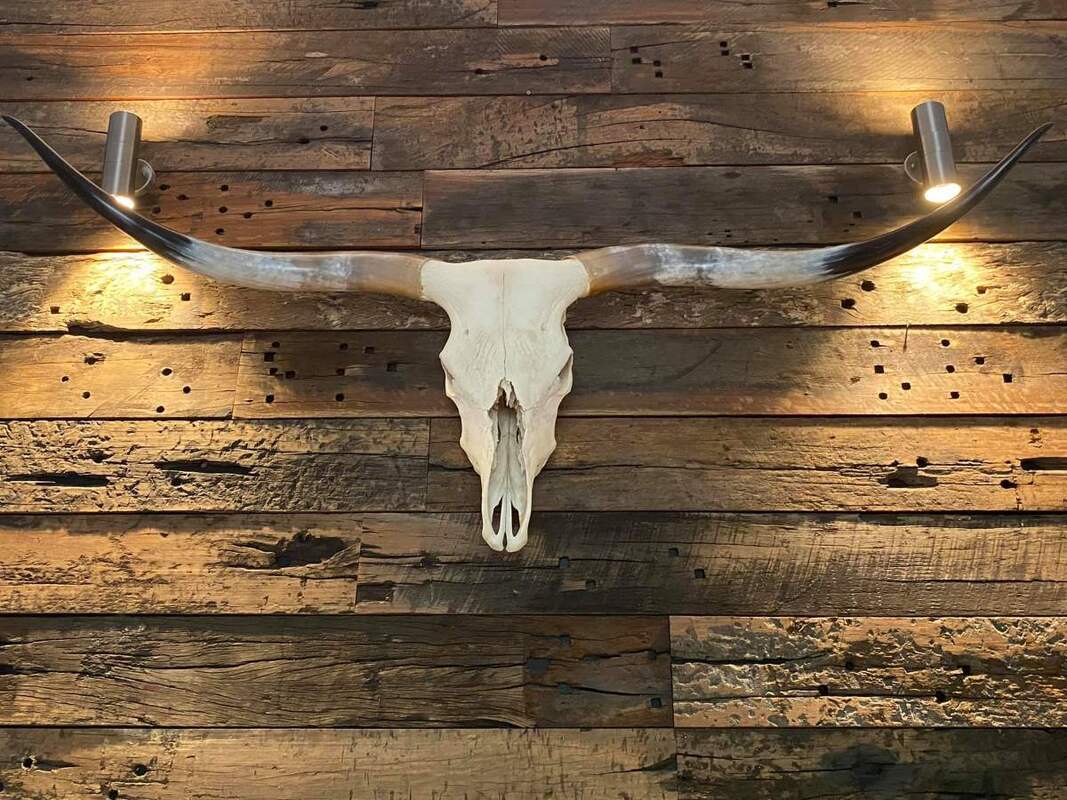 timber wall with antler and bone