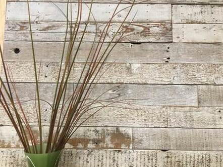 Whitewashed and distressed oregon two board panels